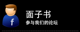 面子书